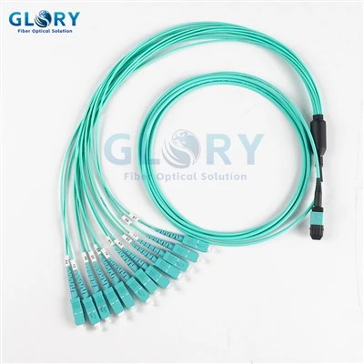MPO 12 Fiber Cable