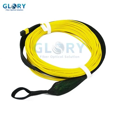 Mpo Mtp Cable